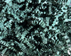Dark Green Crinkle Cut Shred for elegant packaging and gifts.